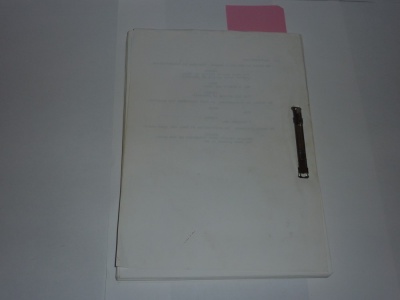 Mary Reilly Original Film Script