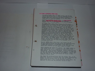 Mary Reilly Original Film Script - Shooting Script