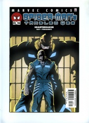 Tangled Web #16 - Marvel 2002 - Spider-Man