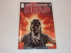 Walking Dead #43 - Image 2007